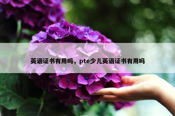 英语证书有用吗,pte少儿英语证书有用吗 英语证书有用吗,pte少儿英语证书有用吗