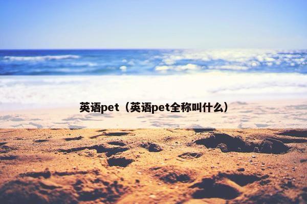 英语pet(英语pet全称叫什么) 英语pet(英语pet全称叫什么)