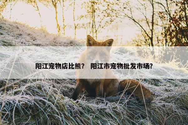 阳江宠物店比熊? 阳江市宠物批发市场? 阳江宠物店比熊? 阳江市宠物批发市场?