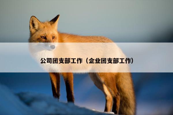 公司团支部工作(企业团支部工作) 公司团支部工作(企业团支部工作)