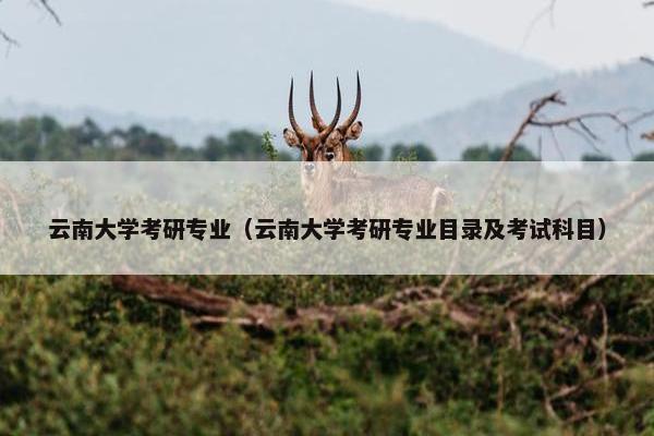 云南大学考研专业（云南大学考研专业目录及考试科目）