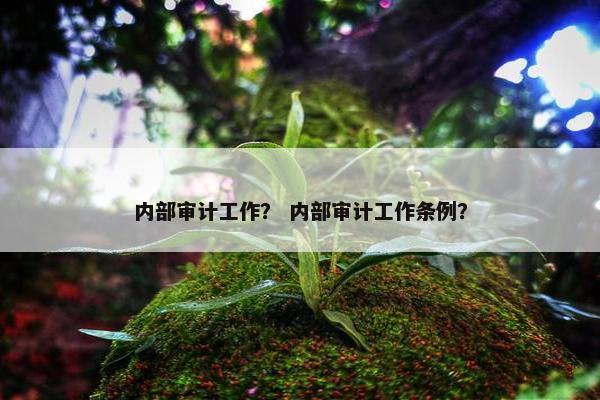 内部审计工作？ 内部审计工作条例？