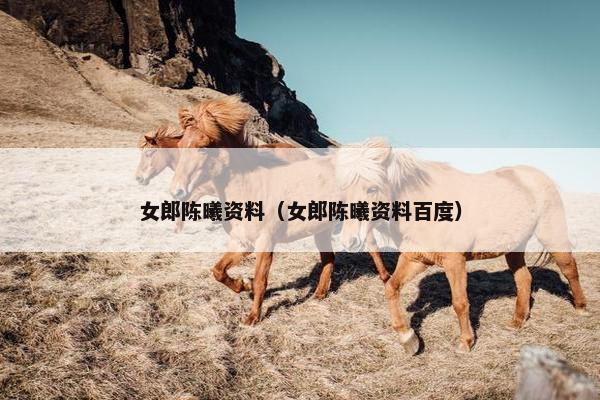 女郎陈曦资料（女郎陈曦资料百度）