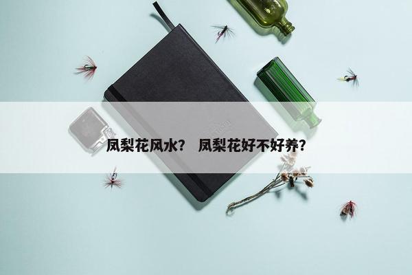 凤梨花风水？ 凤梨花好不好养？
