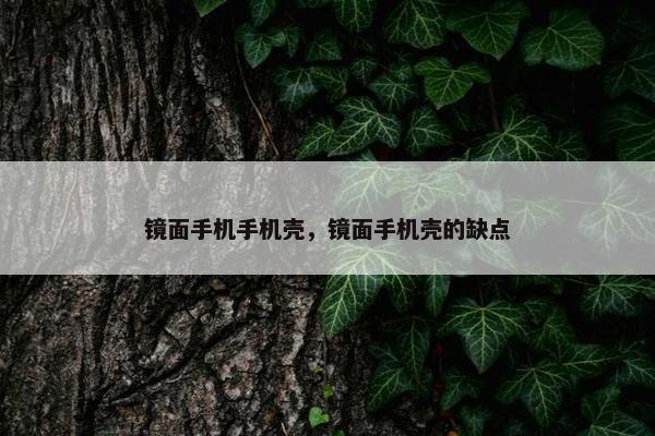 镜面手机手机壳，镜面手机壳的缺点