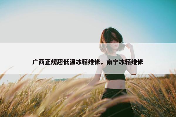 广西正规超低温冰箱维修，南宁冰箱维修