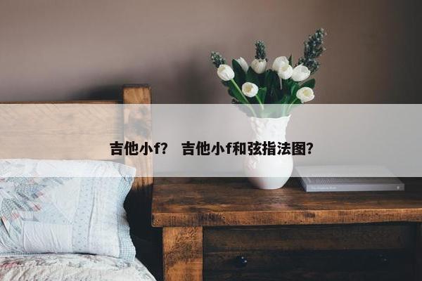 吉他小f？ 吉他小f和弦指法图？