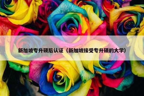 新加坡专升硕后认证(新加坡接受专升硕的大学) 新加坡专升硕后认证(新加坡接受专升硕的大学)
