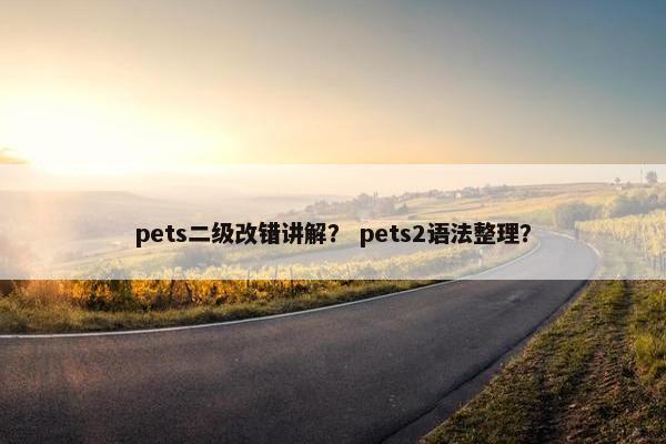 pets二级改错讲解？ pets2语法整理？
