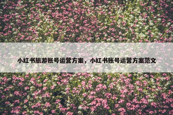 小红书旅游账号运营方案，小红书账号运营方案范文