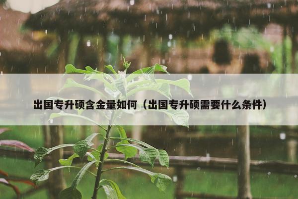 出国专升硕含金量如何（出国专升硕需要什么条件）