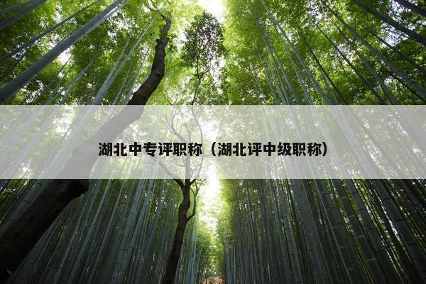 湖北中专评职称(湖北评中级职称) 湖北中专评职称(湖北评中级职称)