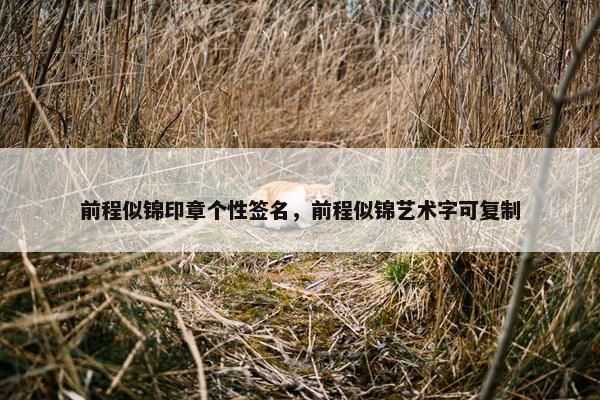 前程似锦印章个性签名,前程似锦艺术字可复制 前程似锦印章个性签名,前程似锦艺术字可复制