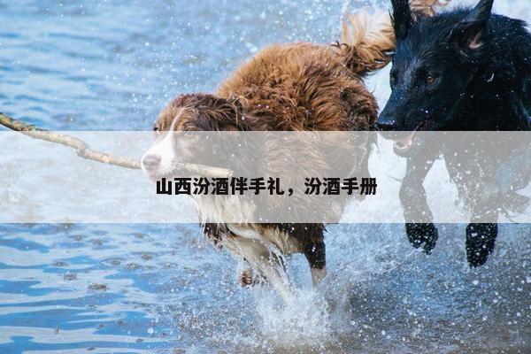 山西汾酒伴手礼，汾酒手册