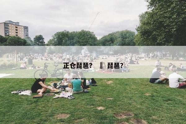 正仓琵琶？ 囍 琵琶？