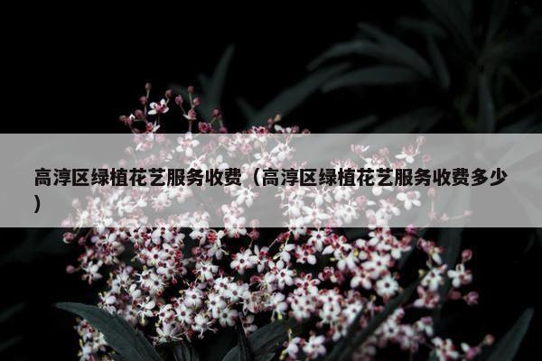 高淳区绿植花艺服务收费（高淳区绿植花艺服务收费多少）