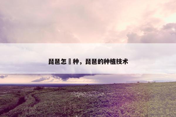 琵琶怎麼种，琵琶的种植技术