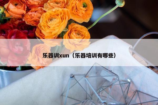乐器训xun（乐器培训有哪些）