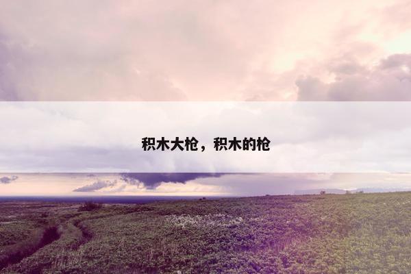 积木大枪，积木的枪