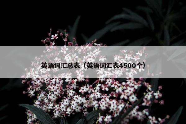 英语词汇总表（英语词汇表4500个）