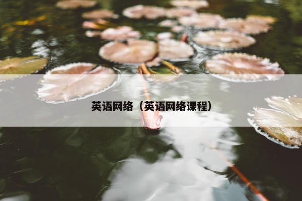 英语网络(英语网络课程) 英语网络(英语网络课程)