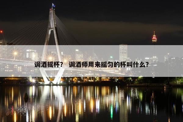 调酒摇杯？ 调酒师用来摇匀的杯叫什么？