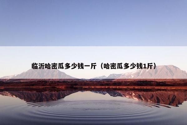 临沂哈密瓜多少钱一斤（哈密瓜多少钱1斤）