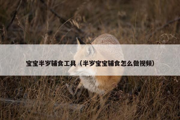 宝宝半岁辅食工具（半岁宝宝辅食怎么做视频）