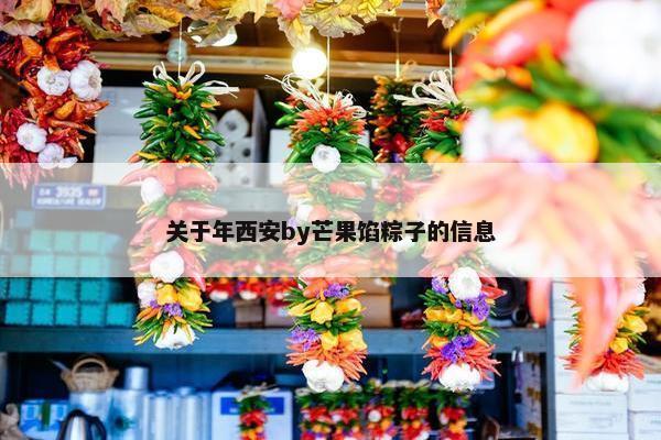 关于年西安by芒果馅粽子的信息