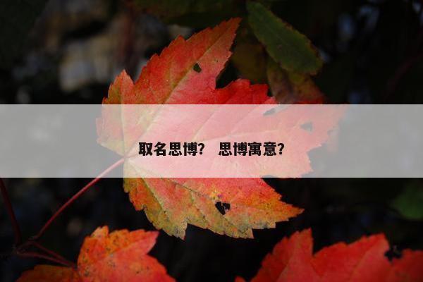 取名思博? 思博寓意? 取名思博? 思博寓意?