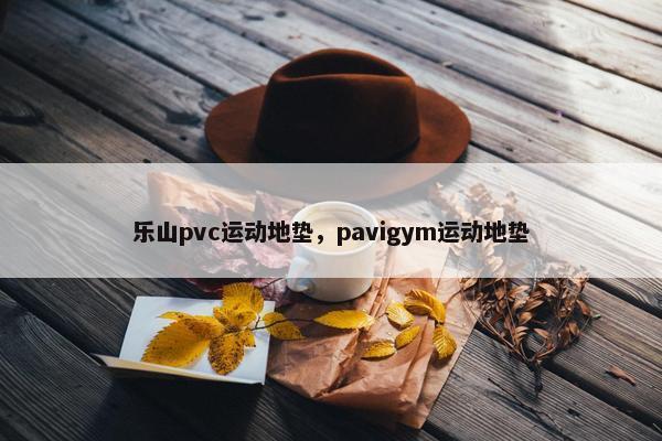 乐山pvc运动地垫，pavigym运动地垫