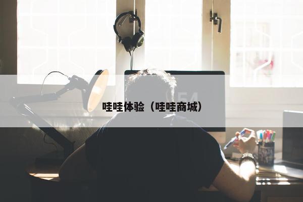 哇哇体验(哇哇商城) 哇哇体验(哇哇商城)