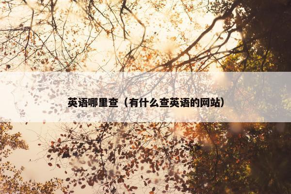 英语哪里查（有什么查英语的网站）