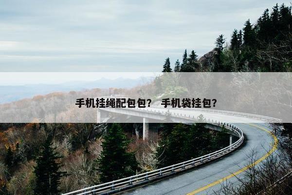 手机挂绳配包包？ 手机袋挂包？