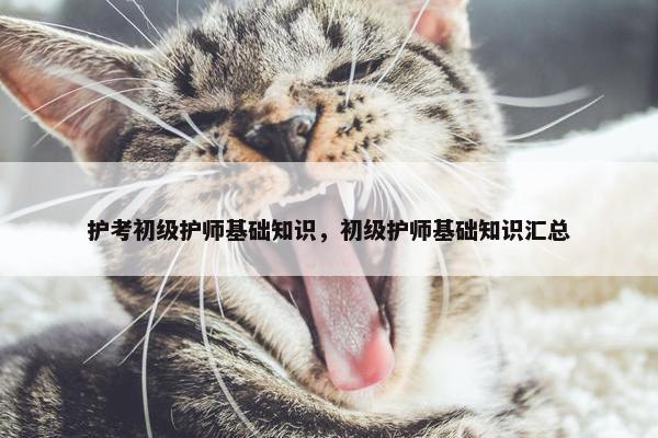 护考初级护师基础知识，初级护师基础知识汇总