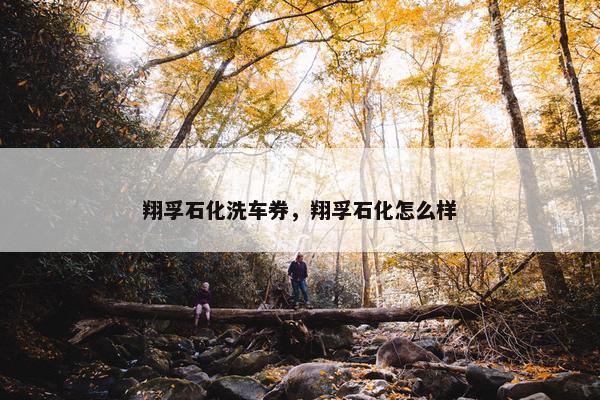 翔孚石化洗车券，翔孚石化怎么样