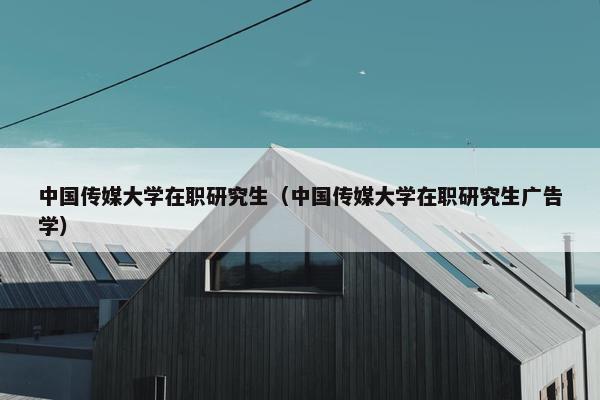 中国传媒大学在职研究生（中国传媒大学在职研究生广告学）