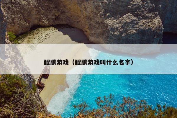 鲲鹏游戏（鲲鹏游戏叫什么名字）