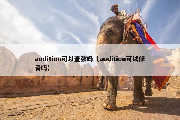 audition可以查弦吗(audition可以修音吗) audition可以查弦吗(audition可以修音吗)