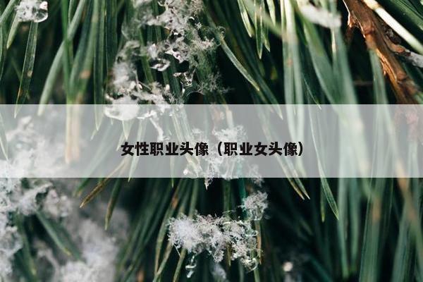 女性职业头像（职业女头像）