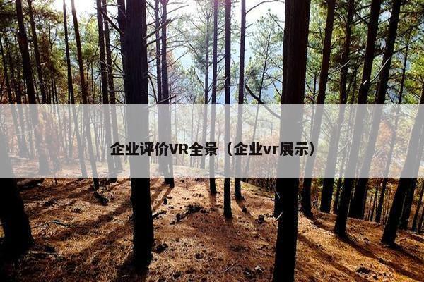 企业评价VR全景（企业vr展示）