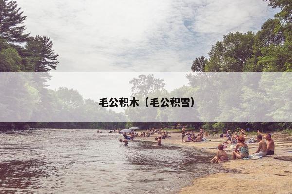 毛公积木（毛公积雪）