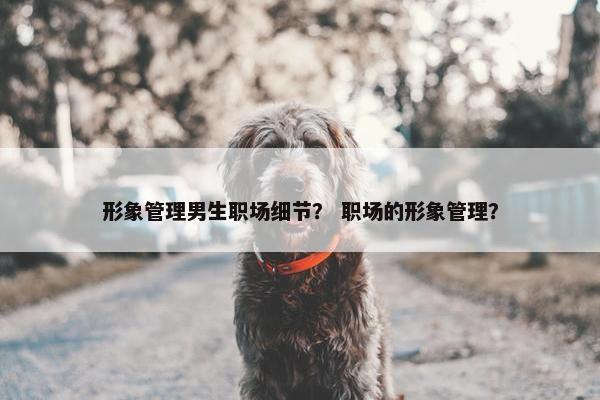 形象管理男生职场细节？ 职场的形象管理？