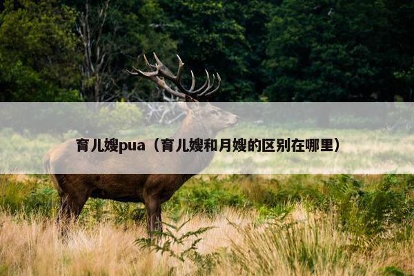 育儿嫂pua（育儿嫂和月嫂的区别在哪里）