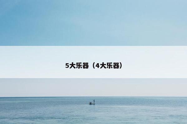 5大乐器（4大乐器）