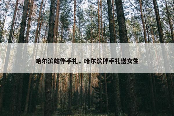哈尔滨站伴手礼，哈尔滨伴手礼送女生