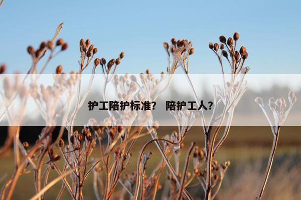 护工陪护标准？ 陪护工人？