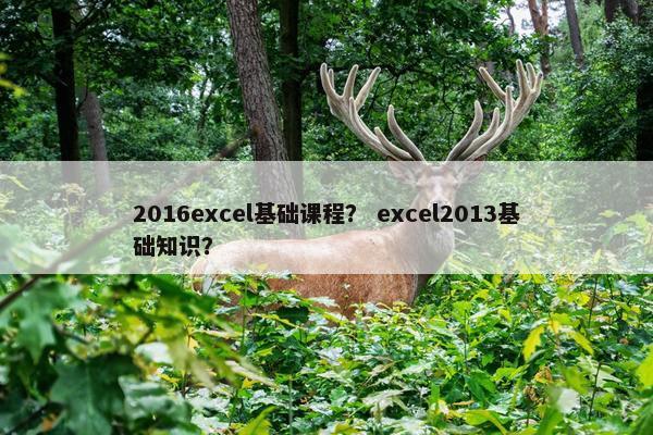 2016excel基础课程？ excel2013基础知识？