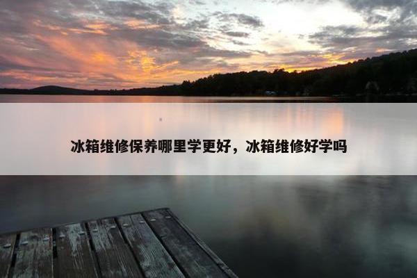 冰箱维修保养哪里学更好，冰箱维修好学吗