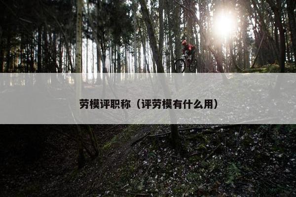 劳模评职称（评劳模有什么用）